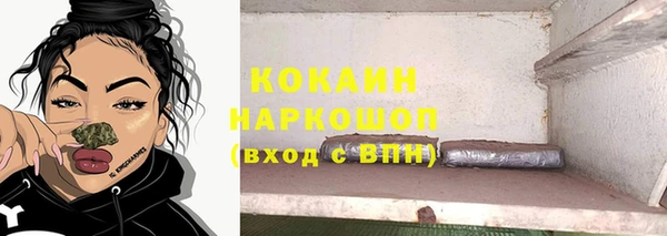 дмт Арсеньев