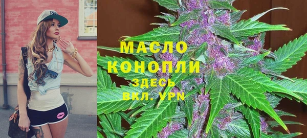дмт Арсеньев
