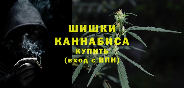 дмт Арсеньев